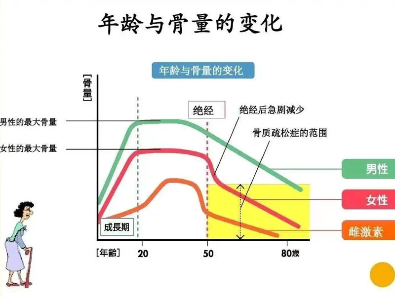 人體骨量變化圖.jpg